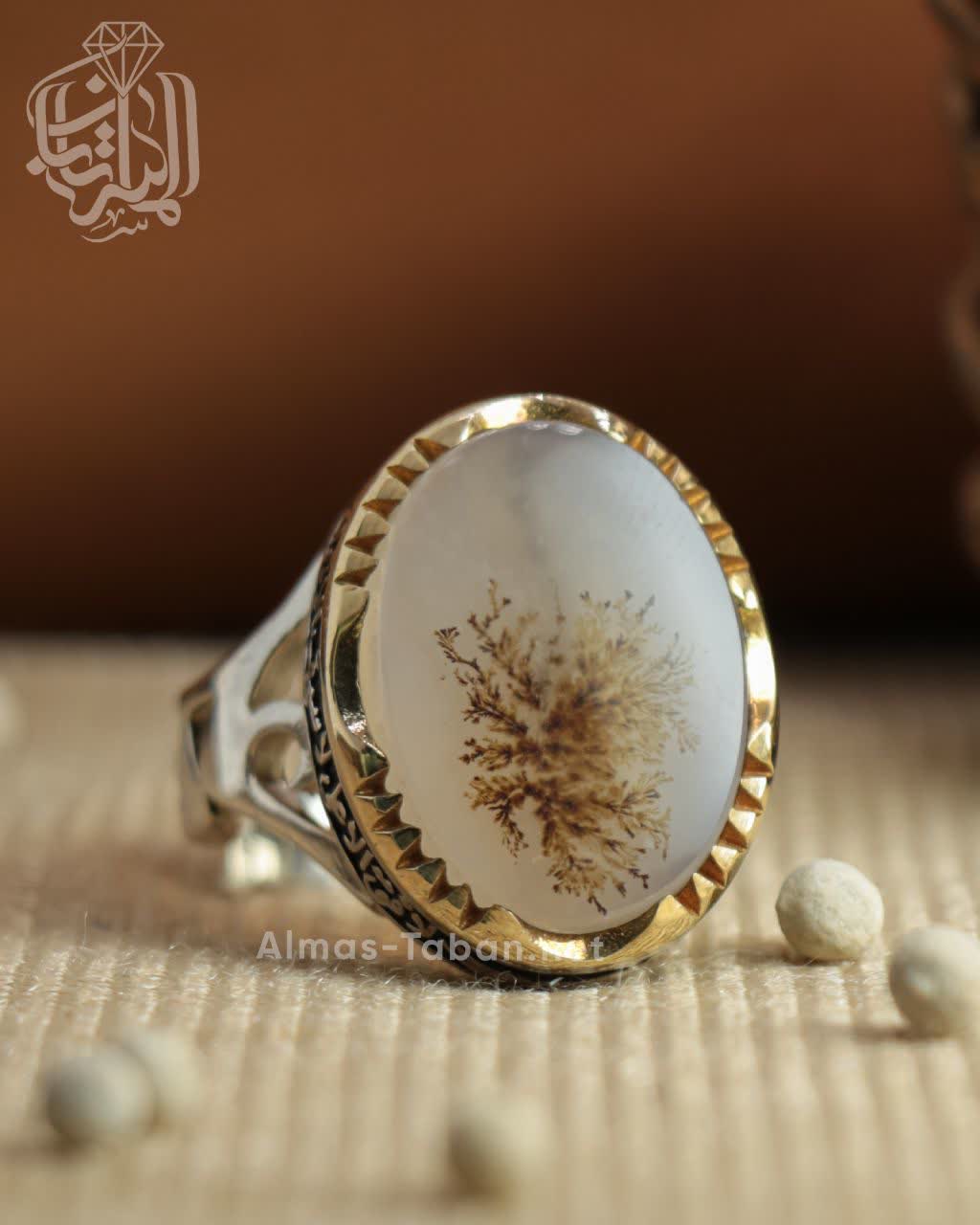 انگشتر مردانه عقیق شجر کد 2869